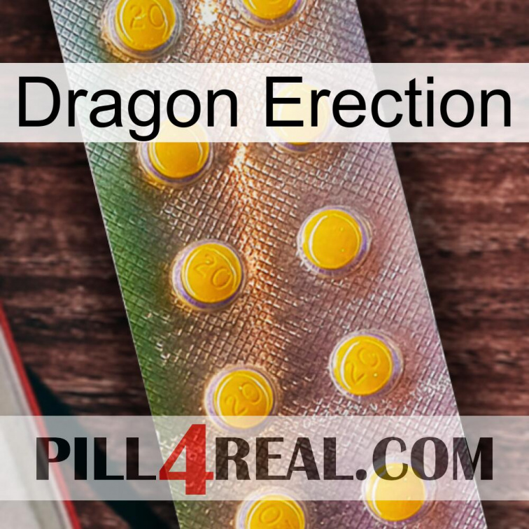 Dragon Erection new11
